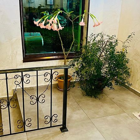 Hotel Elite House Mestia Luaran gambar