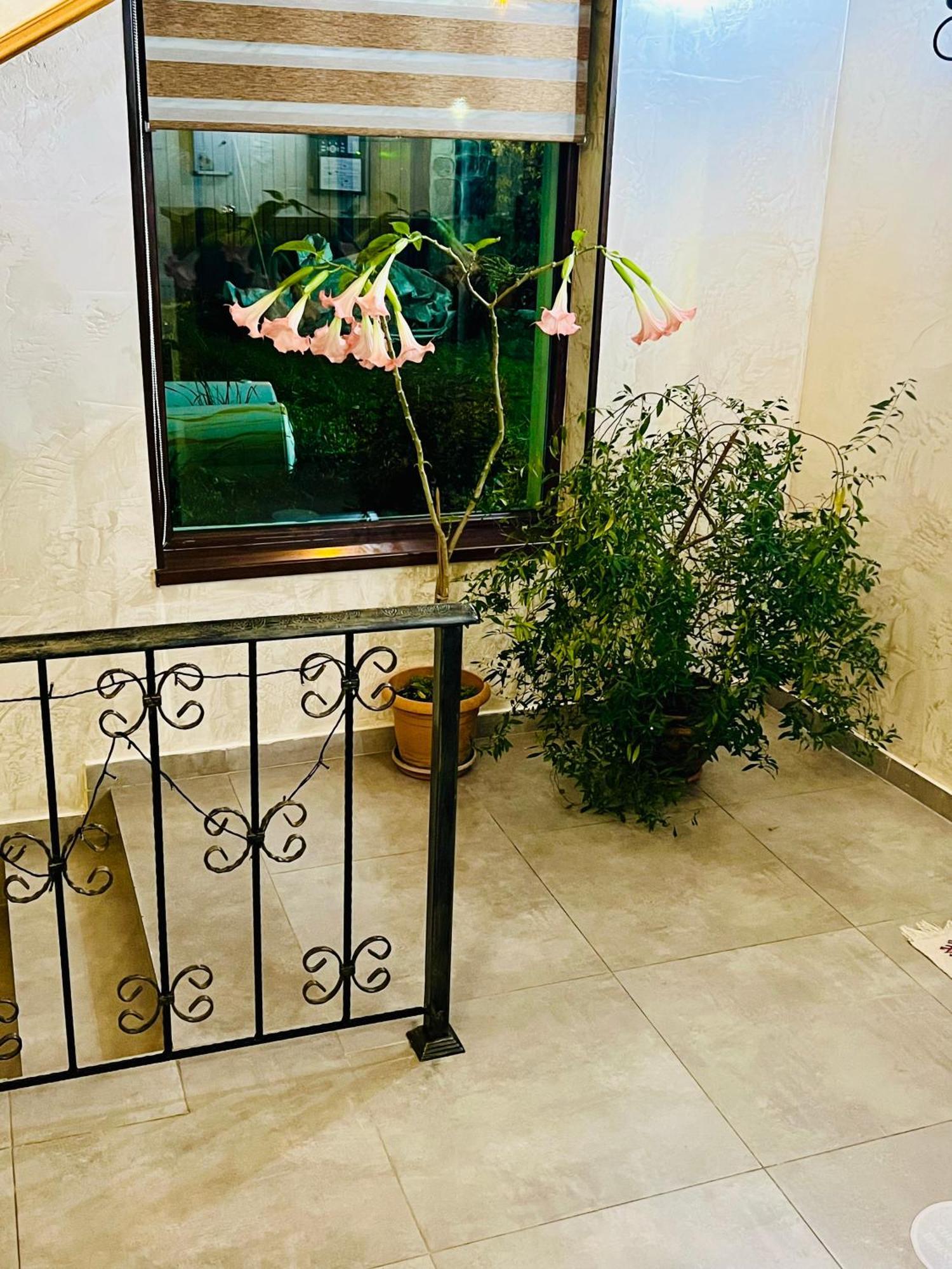 Hotel Elite House Mestia Luaran gambar